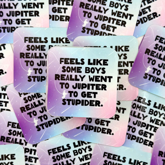Boys Went to Jupiter vinyl sticker