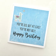 Mini Old Not Ugly card